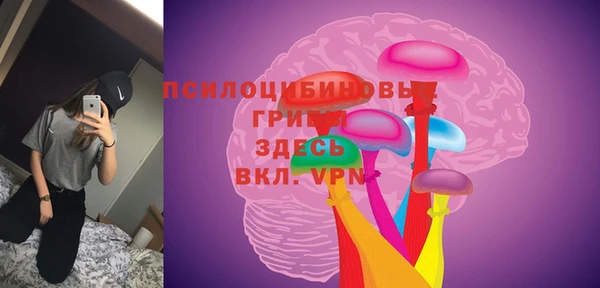 ПСИЛОЦИБИНОВЫЕ ГРИБЫ Аркадак