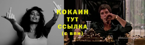 ПСИЛОЦИБИНОВЫЕ ГРИБЫ Аркадак