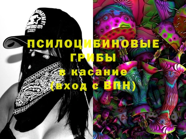 apvp Арсеньев