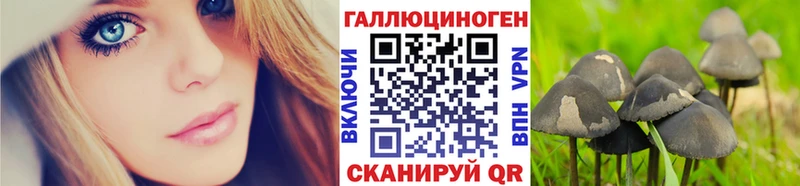 Псилоцибиновые грибы мицелий  магазин продажи   Семикаракорск 